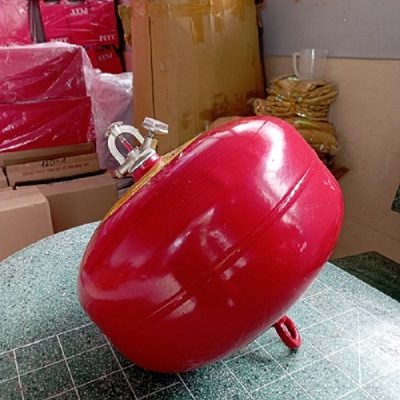 Bình chữa cháy tự động 6kg